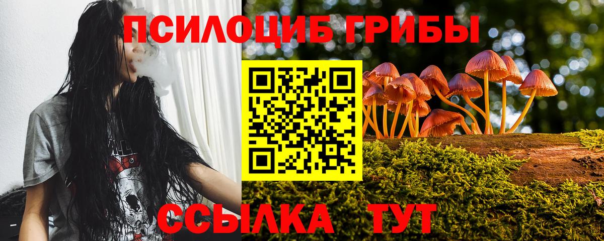 Галлюциногенные грибы GOLDEN TEACHER Чапаевск