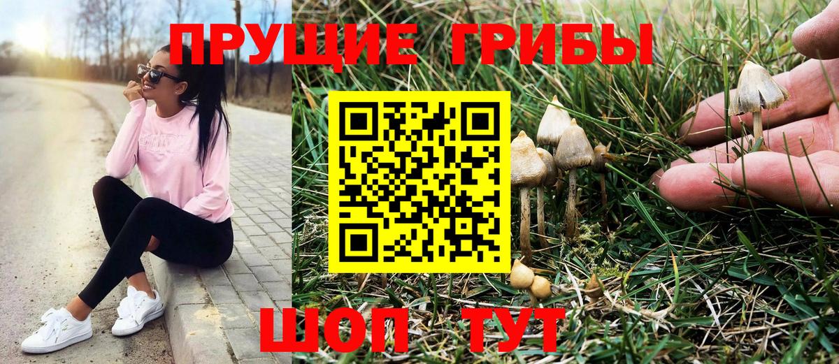 Чапаевск  Галлюциногенные грибы прущие грибы  Вход с VPN  Псилоцибиновые грибы мухоморы 